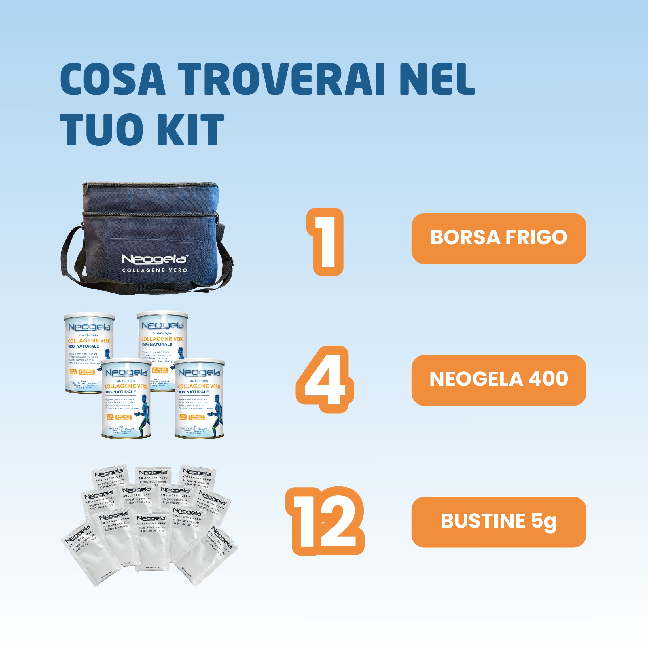 4 Neogela + 12 Buste + Borsa frigo