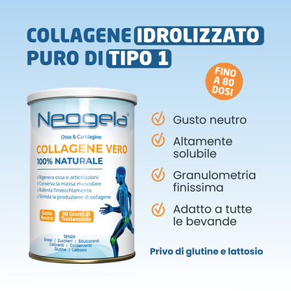 4 Neogela + 12 Buste + Borsa frigo
